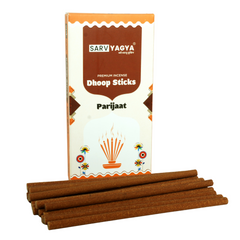 Parijat Dhoop – Spiritual Awakening